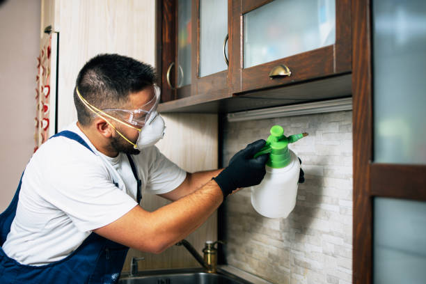 Insect Control in Northford, CT