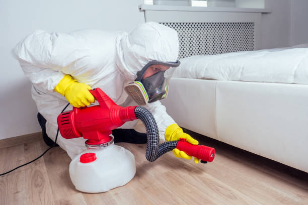 Best Mosquito Control Services  in Northford, CT