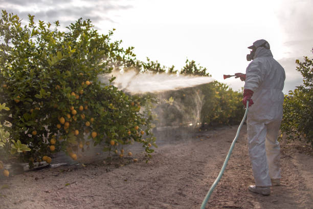 Best Local Pest Control Services  in Northford, CT
