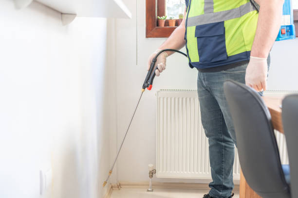 Best Pest Control for Homes  in Northford, CT