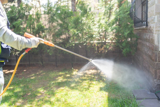 Best Bed Bug Extermination  in Northford, CT